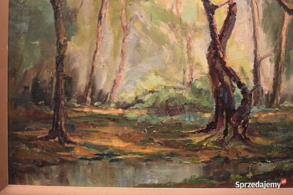 Van Aken pejzaż leśny Lubin