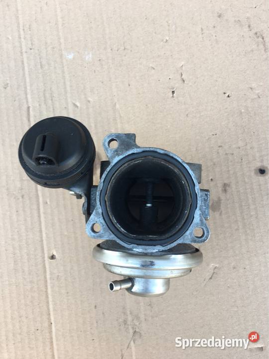 Zawór Egr Seat Ibiza 19TDI 101 038129637b Chojnice