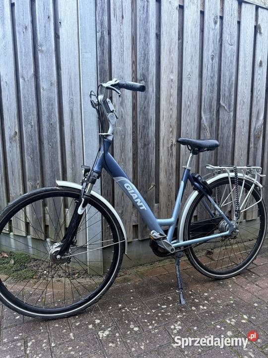 Giant 28 Nexus 7 Amortyzator Aluminium Rower