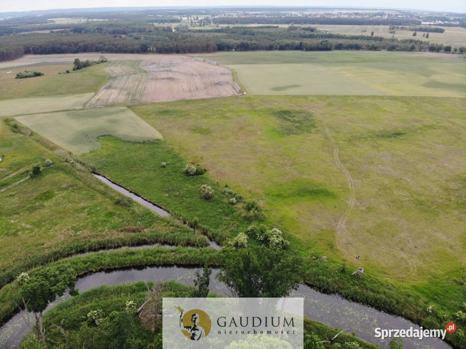 Turystyka brzegiem rzeki Obry lubuskie Karszyn