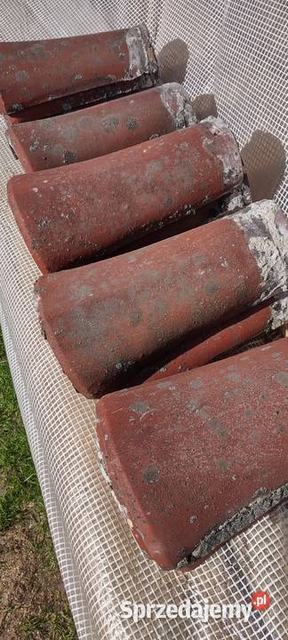 Gąsiary dachowe rajtary niemieckie Dobrodzień