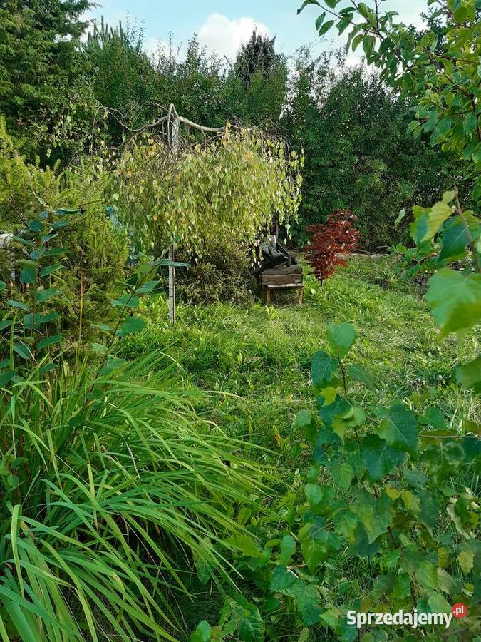 Działka ROD Gdańsk sprzedam