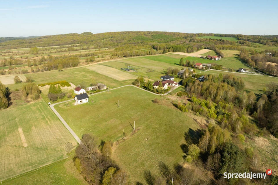 Działka budowlana Domaniewice Gmina Wolbrom sprzedam