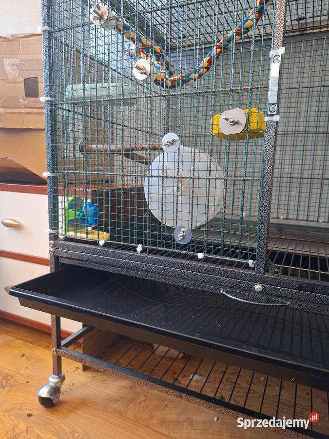 Klatka Yaheetech z podstawowym wyposażeniem Białystok