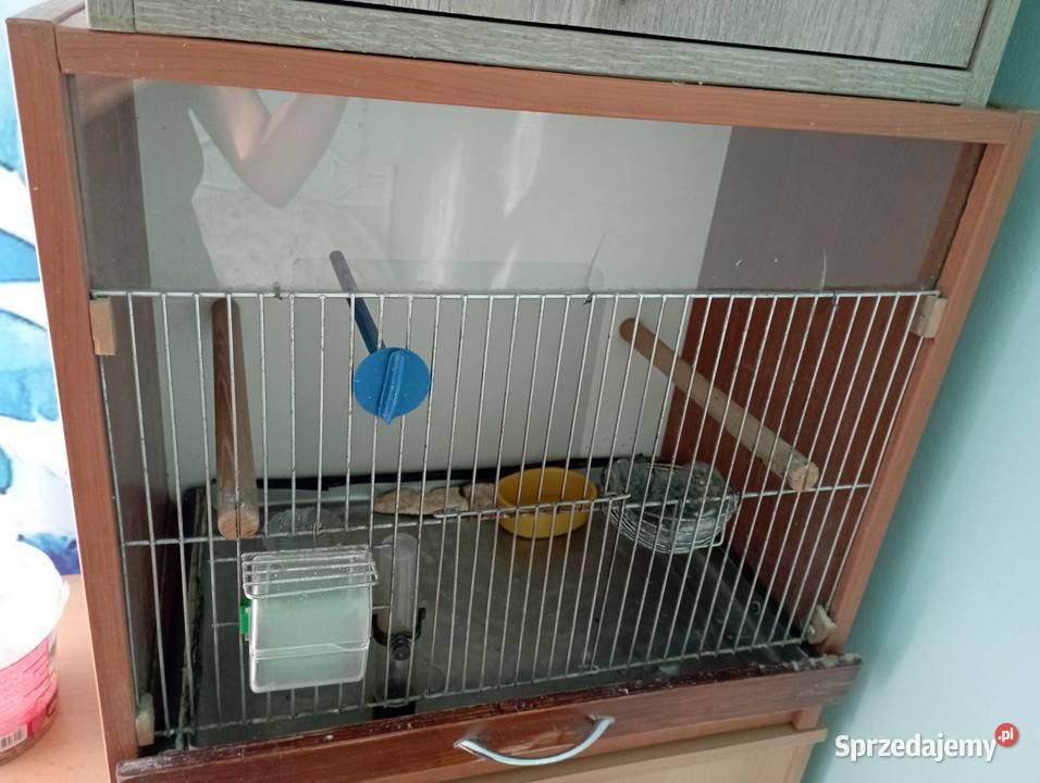 Sprzedam klatkę domek ptaków Zwierzęta Kraków