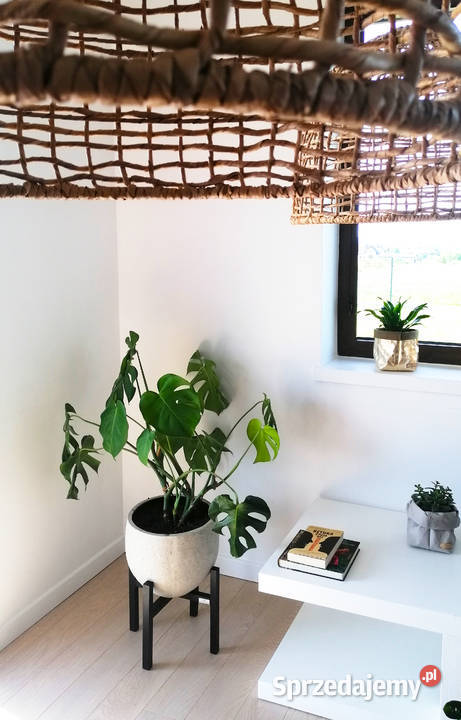 Stojak na kwiaty drewno dębowe 35h30 dąb czarny 35cm Wrocław sprzedam