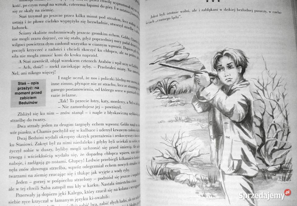 W pustyni i w puszczy H Sienkiewicz Lektura z miękka Chełm sprzedam