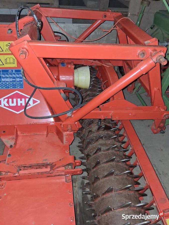 Brona wirowa Rabka-Zdrój