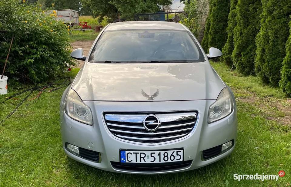 Opel Insignia 20 CDTI Sport Tourer 190 kujawsko-pomorskie Szembekowo
