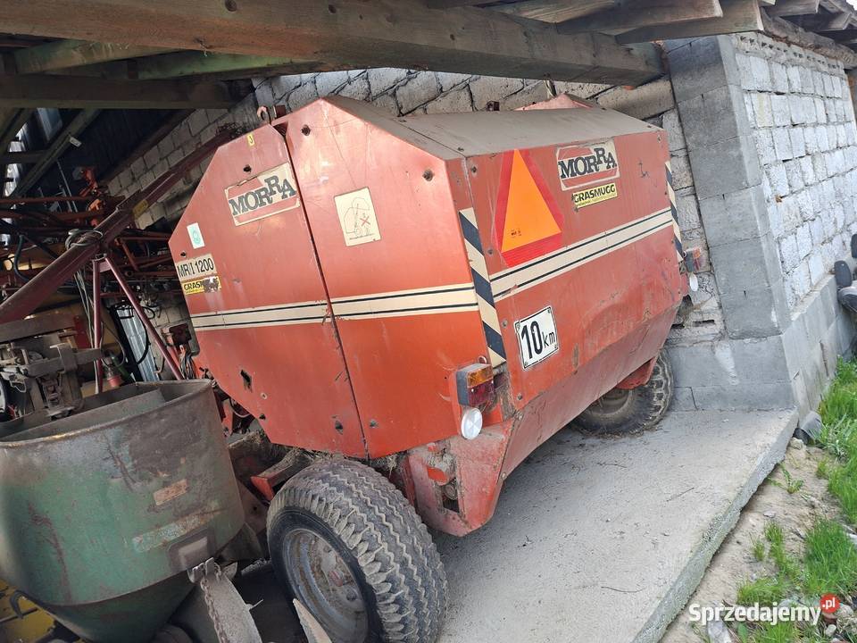 Prasa morra belarka Tuchów