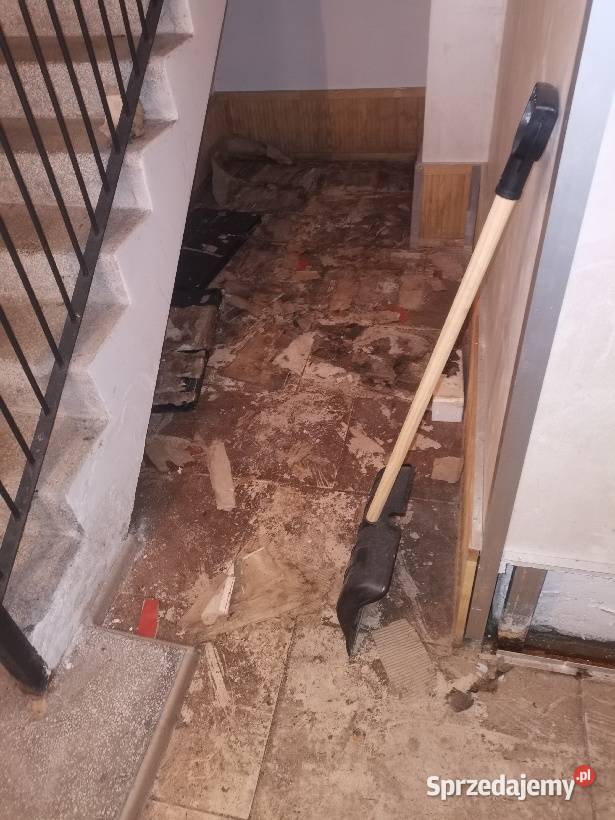 Odgrzybianie ścian Przemków Vector Usuwanie