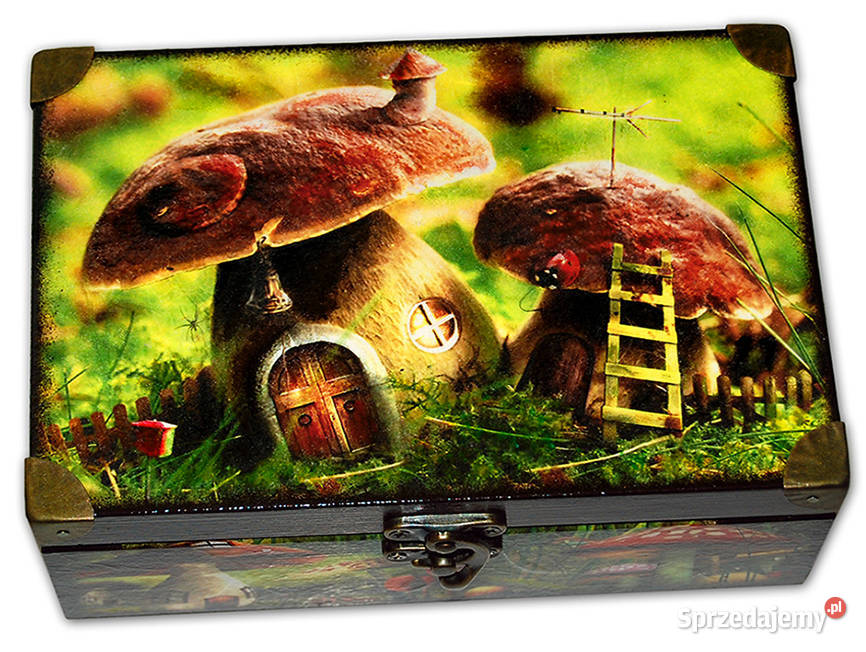 SZKATUŁKA drewniane pudełko GRZYBKI okucia Bydgoszcz sprzedam