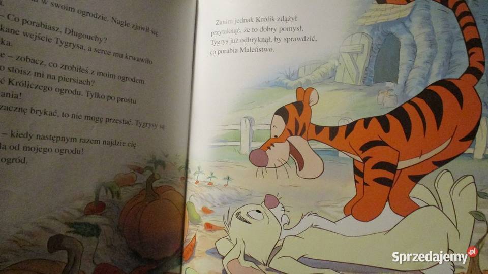 Kubuś Puchatek Disneybajkibaśnie Łódź