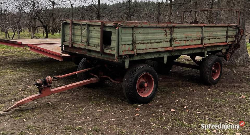 Czarna białostocka nieuszkodzony mazowieckie Białobrzegi sprzedam
