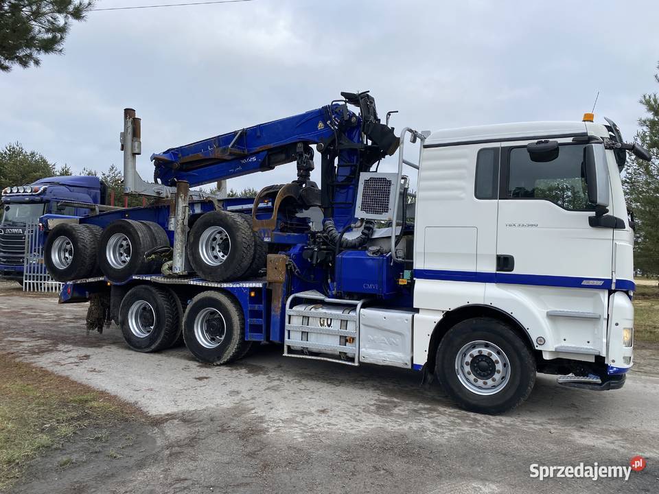 Do drzewa drewna lasu Biłgoraj