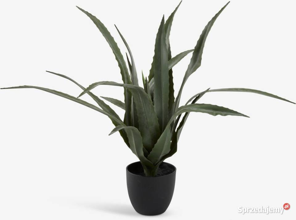 Sztuczny aloes 65 w doniczce dekoracyjna roślina Dom i Ogród Golkowice