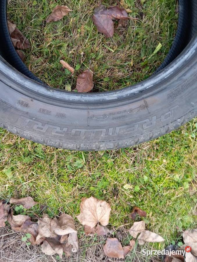 Opony letnie 2255017 z 21 roku 50 świętokrzyskie Makoszyn sprzedam