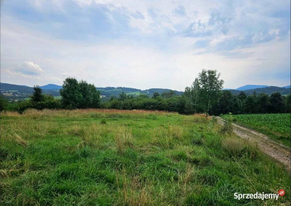 Działka granicy z Czechami RATY Cieszyn