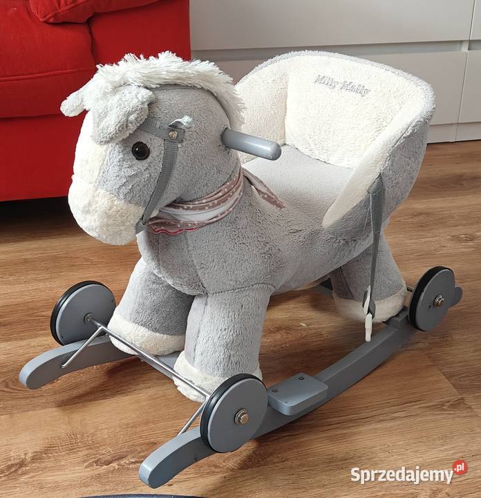 Konik na biegunach Lipno