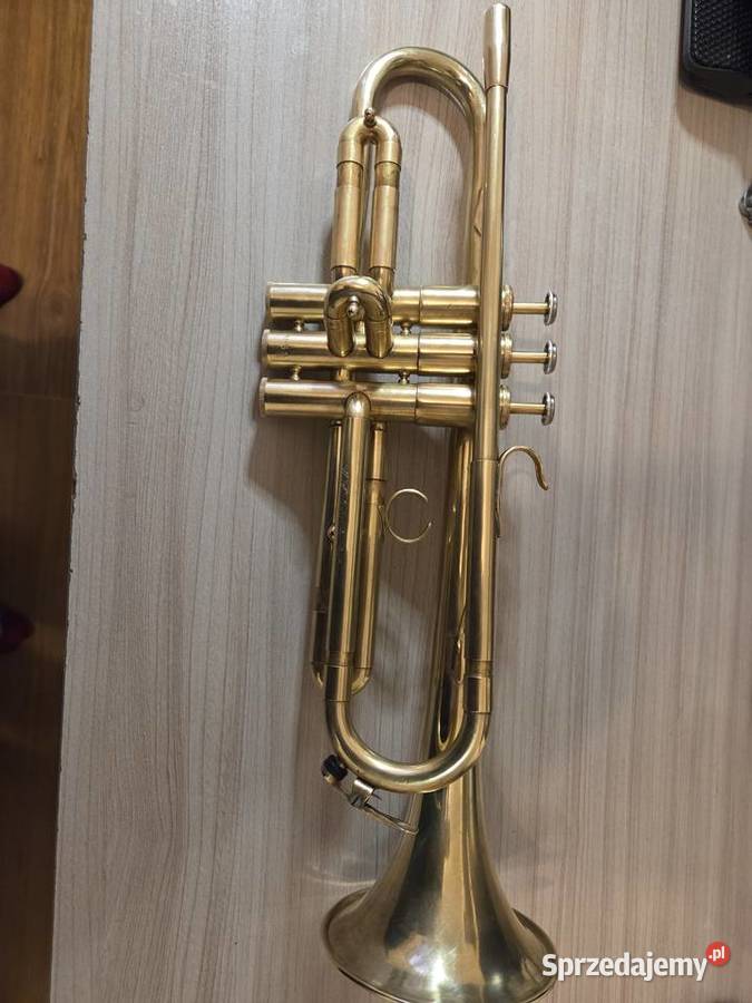 Trąbka WFDiP Polmuz Łęczyca