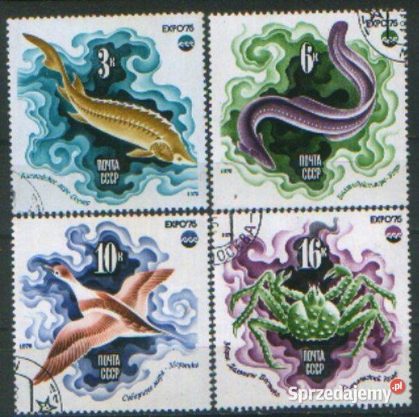 Zn ZSRR Mi 4376 8 80 kas 1975 Kolekcje Gliwice sprzedam