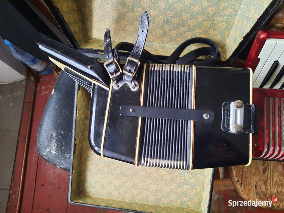Akordeony cyklop hohner firotti wielkopolskie Konin