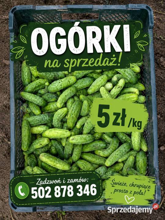 Ogórki Bogusławice