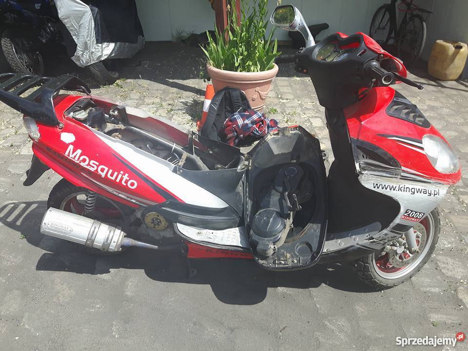 Kingway Mosquito Wrocław