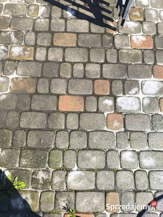 Profesjonalne mycie kostki Pozostałe usługi Bucze