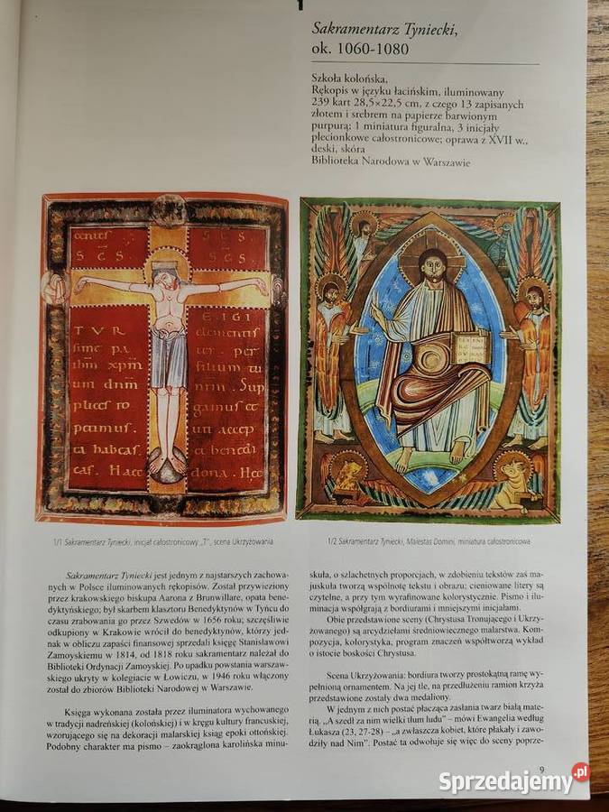 czytać malarstwo polskie DFolgaJanuszewska miękka Kraków