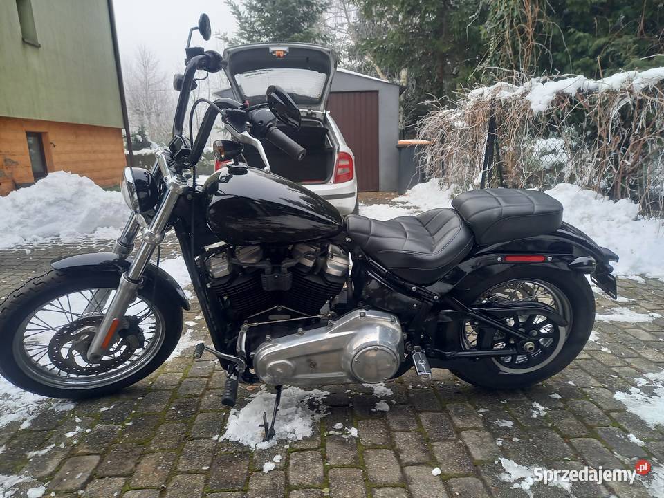 HarleyDavidson Fxst Softail Standard M8 Niski Bielsko-Biała