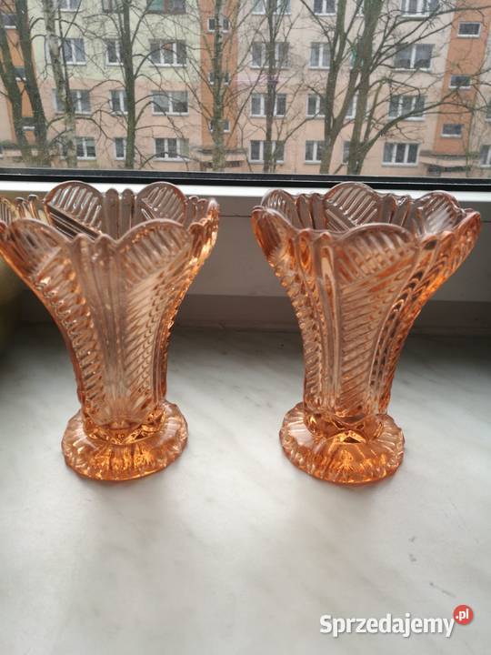 Wazoniki Ząbkowice różowe zachodniopomorskie Choszczno