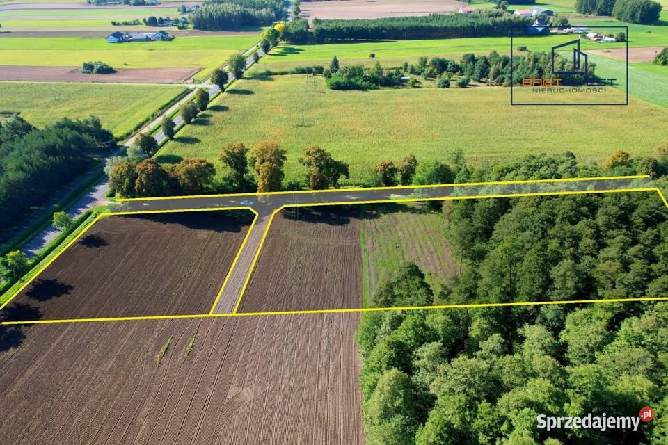 Duża działka budowlana z własnym lasem 7012 m2 Skorosze