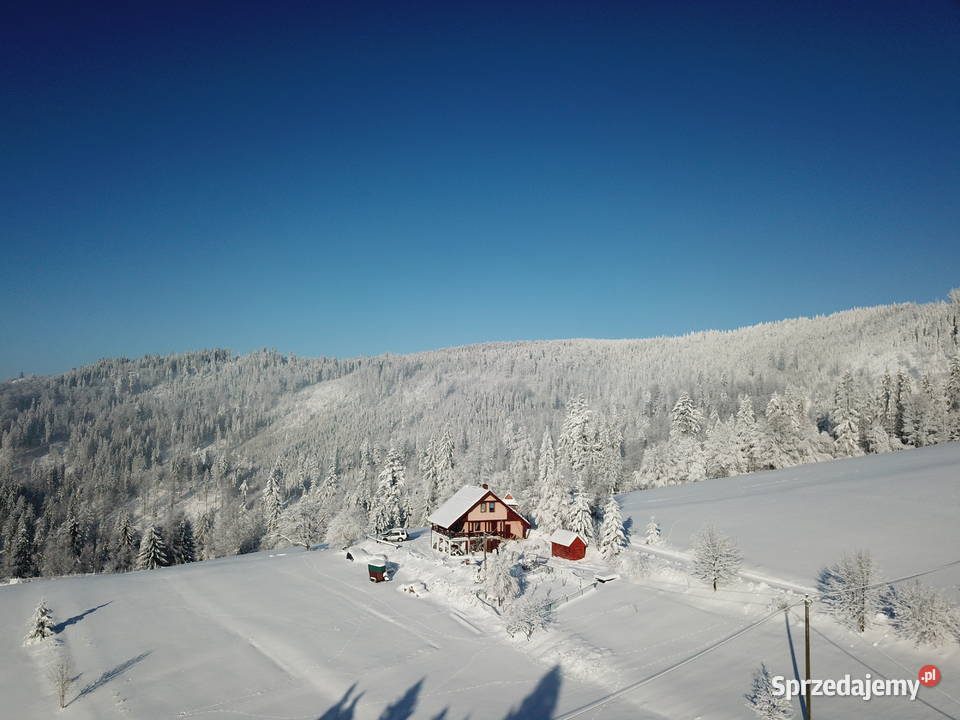Domek do wynajęcia śląskie Istebna