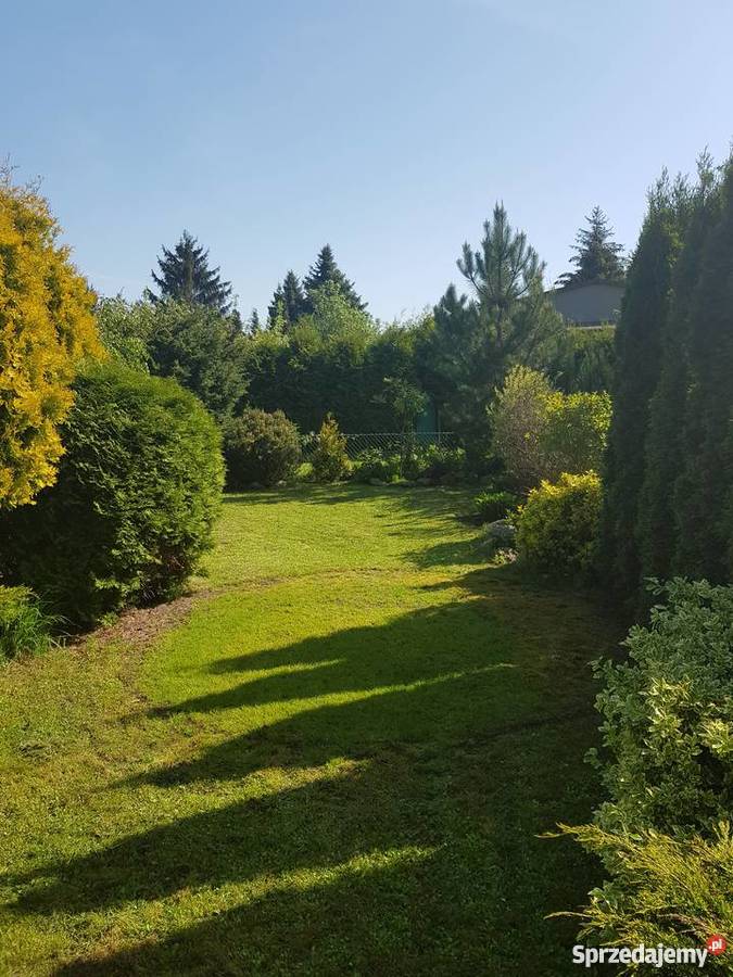 Działka rekreacyjna ROD Poznań Krzesiny