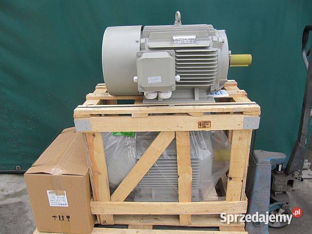 Silnik elektryczny sprężarki 90 Kw 2900 obr Szamotuły