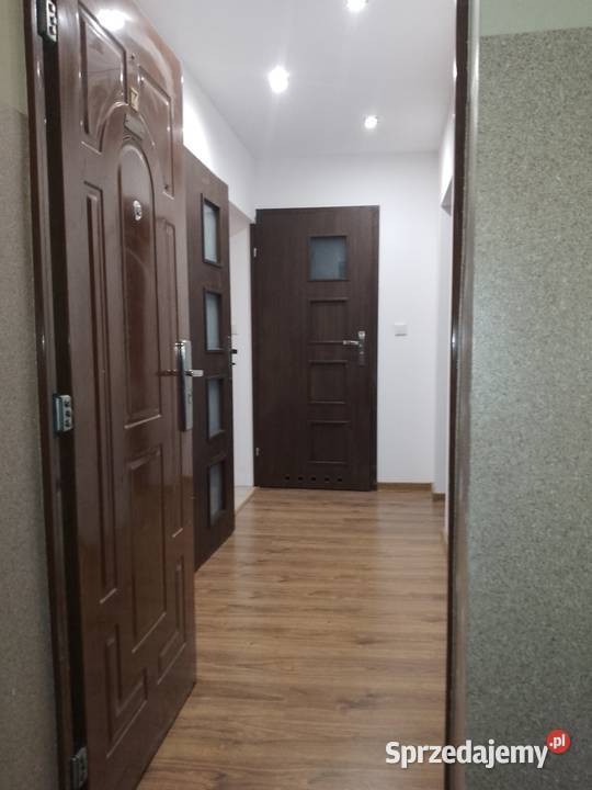 3 pokojowe mieszkanie na parterze Nowa kuchnia 55m2 Gościeszyn sprzedam