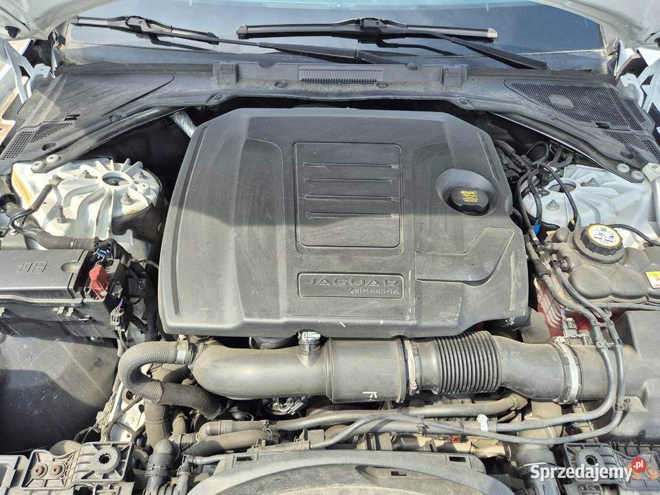 Jaguar XF Premium 2019r 91tkm 20 250 AWD Będzin