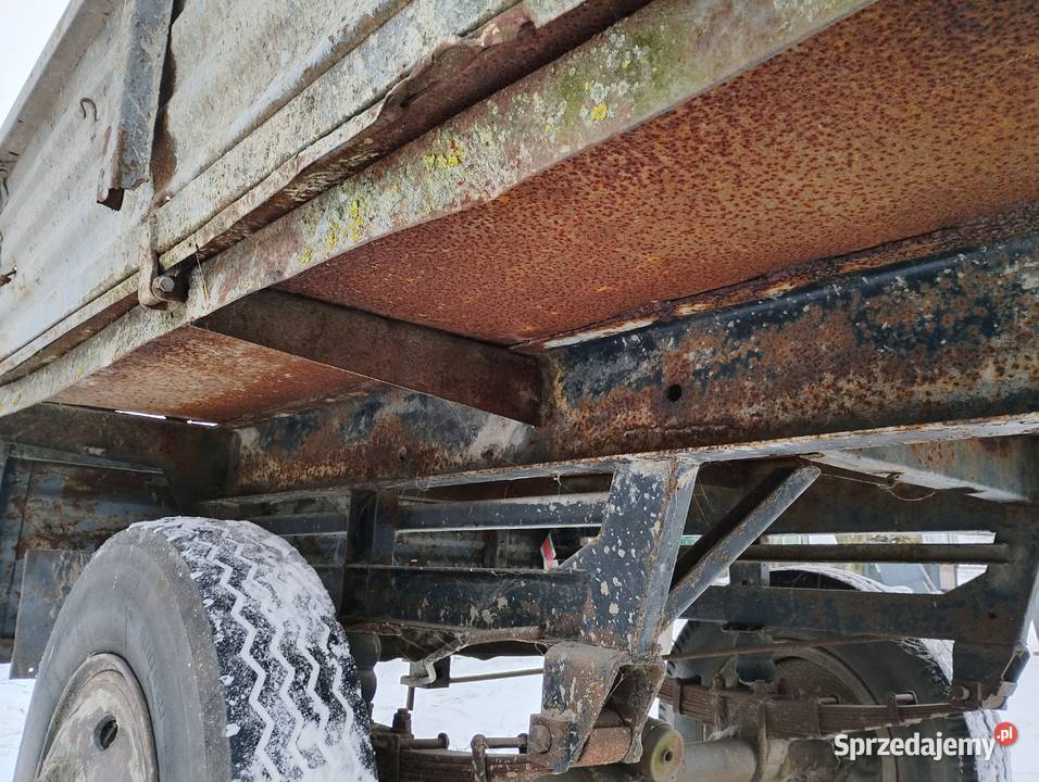 Przyczepa D50 sztywna nieuszkodzony Serokomla sprzedam