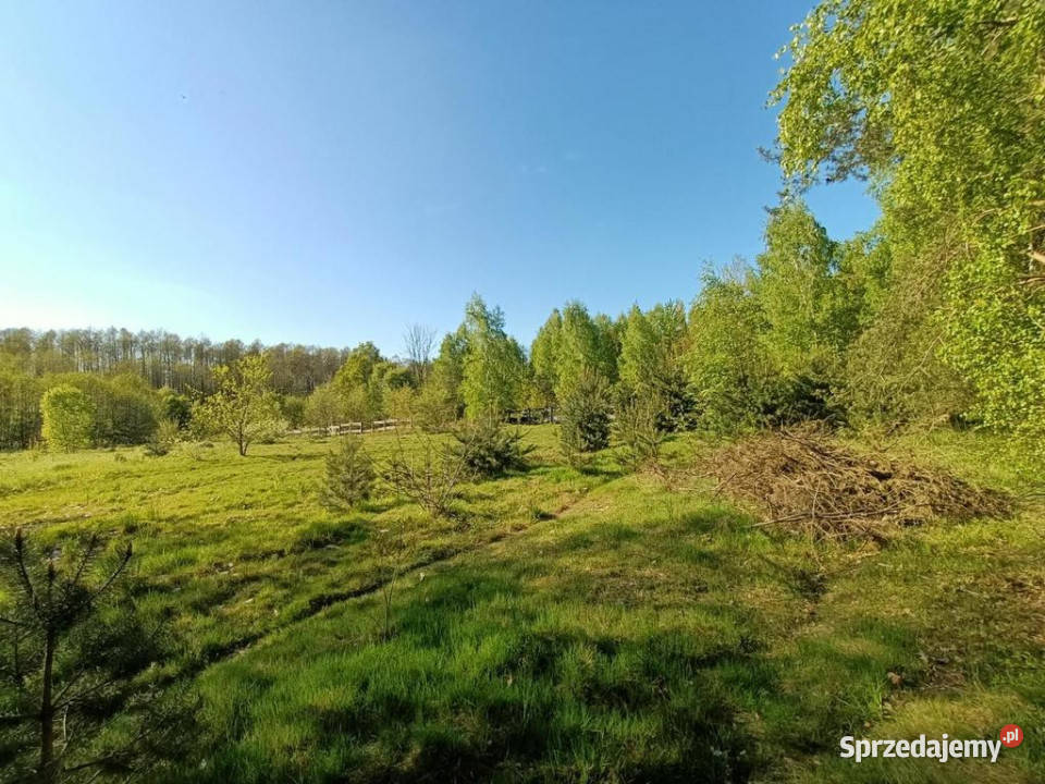 Dom na działce 4200 m2 w Gródku gm Policzna Gródek
