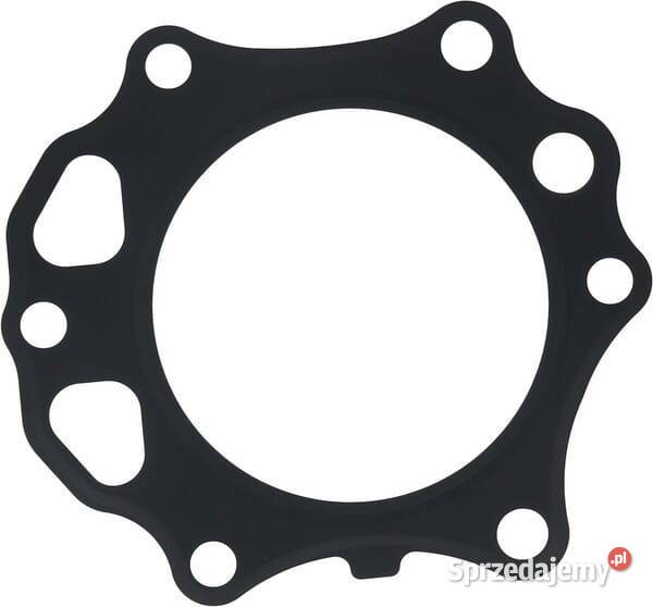 Uszczelka głowicy 110042106 Ogród małopolskie Kamionna sprzedam