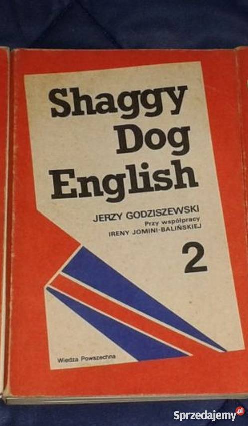 SHAGGY DOG ENGLISH 2 JERZY GODZISZEWSKI Elbląg sprzedam