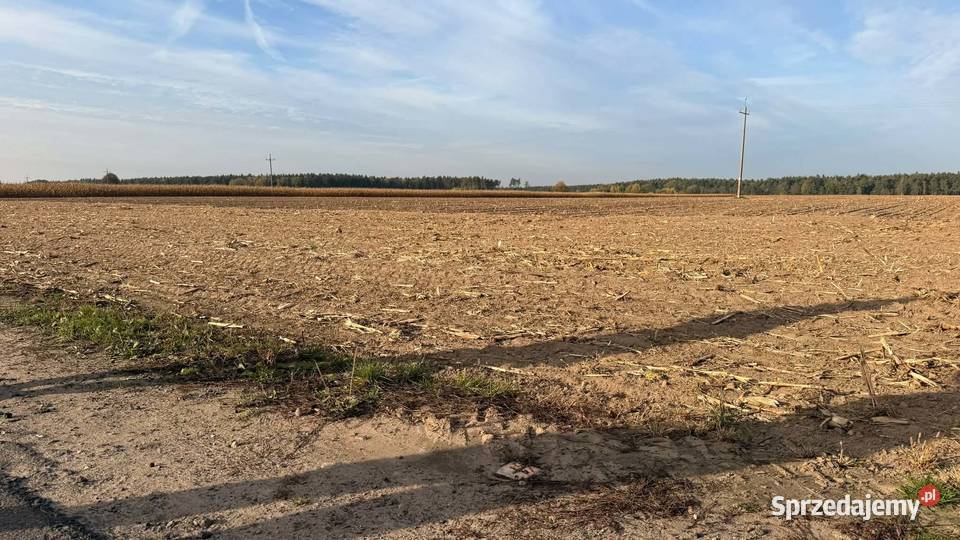 DZIAŁKI BUDOWLANE NA SPRZEDAŻ KOKCZYN PIERWSZY 115zł/m2