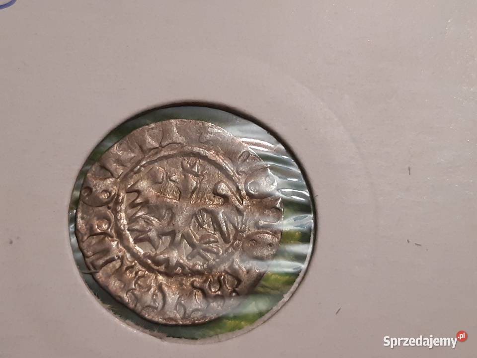 moneta srebrna polska półgrosz Jan I Olbracht podlaskie Łomża