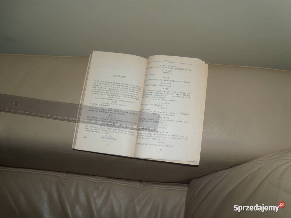 Niemcy Leon Kruczkowski Rok wydania 1973 Warszawa