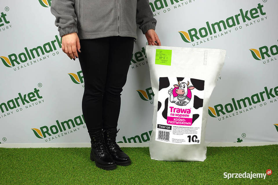 Nasiona Trawa pastewna łąkowa mieszanka Kośna mazowieckie Cieśle