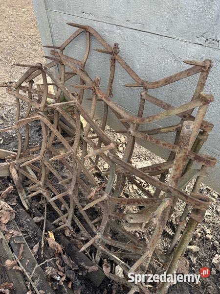 Brony polne 3 świętokrzyskie Skalbmierz