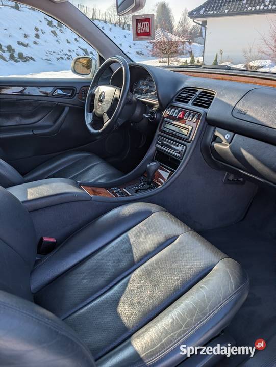 Mercedes Benz W208 CLK 230 KOMPRESSOR CLK Niedźwiedź