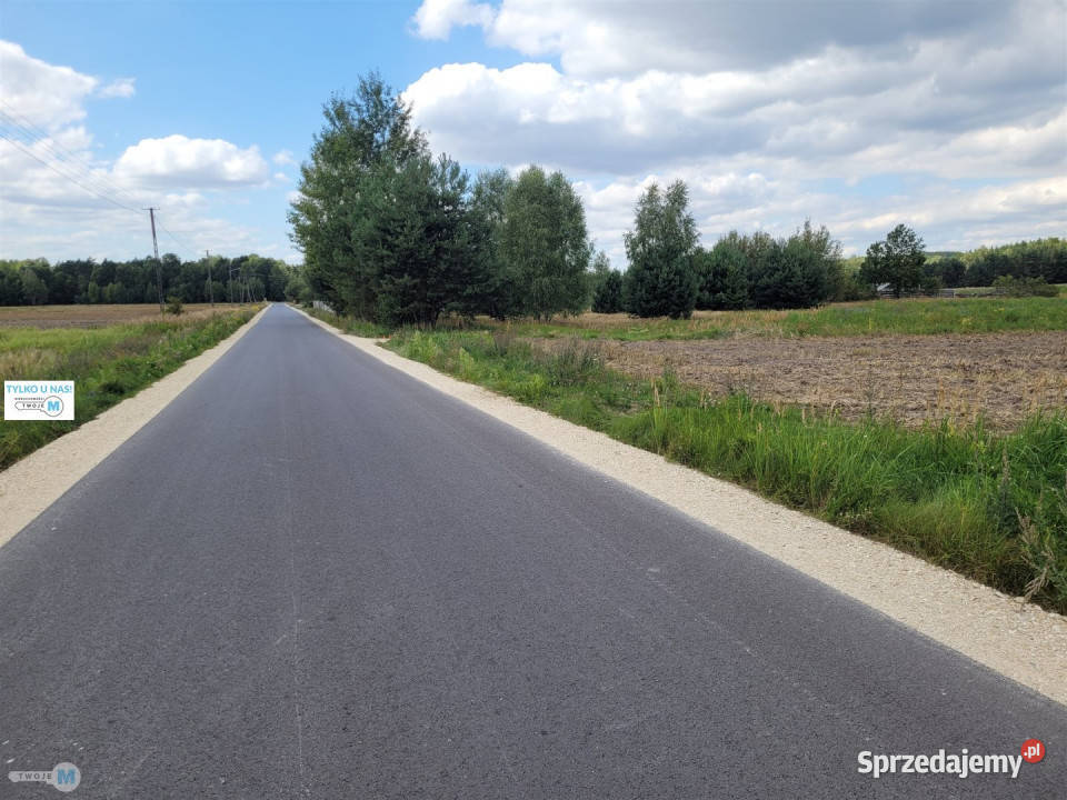 Sprzedaż gruntu 8000m2 Kluczewsko Sprzedaż świętokrzyskie