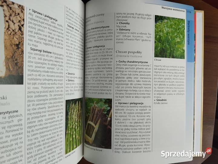 SPRZEDAM kompendium wiedzy Ogród pełen warzyw i Krapkowice sprzedam